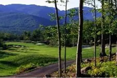 Lot 55 Trillium, Newry, ME 04261 - Photo 4