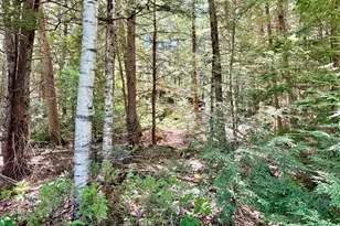 Lot 8 Endov Ln, T10 Sd, ME 04664 - Photo 40
