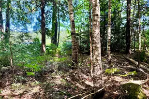 Lot 8 Endov Ln, T10 Sd, ME 04664 - Photo 34