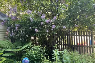 185 Broadway, Rockland, ME 04841 - Photo 14
