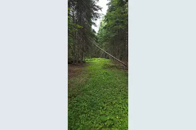 57 Fred Soucie Lane, Winterville Plt, ME 04739 - Photo 32