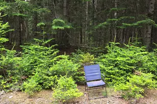 57 Fred Soucie Ln, Winterville Plt, ME 04739 - Photo 36