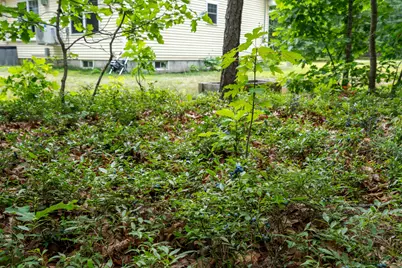 4 Huckleberry Lane, Kennebunk, ME 04043 - Photo 52