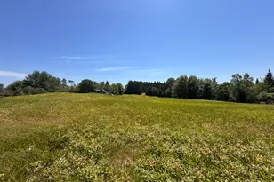 93 Stagecoach Rd, East Machias, ME 04630 - Photo 162
