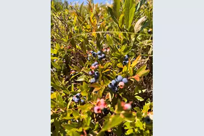 93 Stagecoach Road, East Machias, ME 04630 - Photo 82