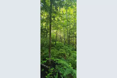 041 Moosewa Trail, Otisfield, ME 04270 - Photo 2