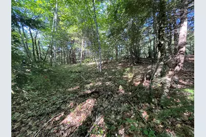 Lot #0 Birch View Drive, Albany, ME 04217 - Photo 2