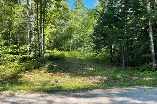 Lot #0 Birch View Dr, Albany, ME 04217 - Photo 1