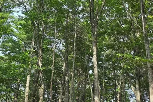 00 Pinnacle Rd, Liberty, ME 04949 - Photo 1