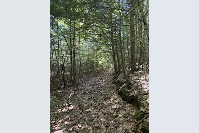 33B North Road, Bridgton, ME 04009 - Photo 6