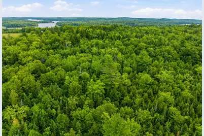 Lot 24B Ridge Road, Whiting, ME 04691 - Photo 6