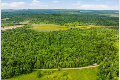 Lot 24B Ridge Road, Whiting, ME 04691 - Photo 8