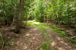 0 Corliss Point Rd, Big Lake Twp, ME 04668 - Photo 46