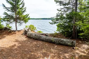 0 Corliss Point Rd, Big Lake Twp, ME 04668 - Photo 44