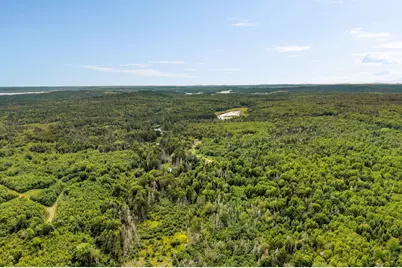 M002L035 Route 191(Cutler Rd) Road, Machiasport, ME 04655 - Photo 12