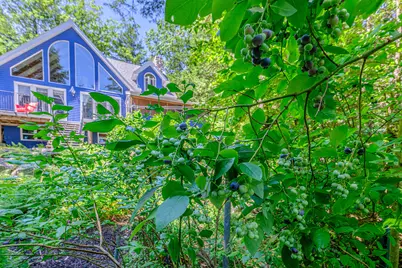 95 Valhalla Lane, Norway, ME 04268 - Photo 4