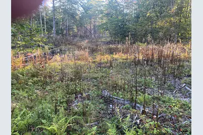 0 Flagg Mill Road, Naples, ME 04055 - Photo 2