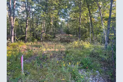 0 Flagg Mill Road, Naples, ME 04055 - Photo 1