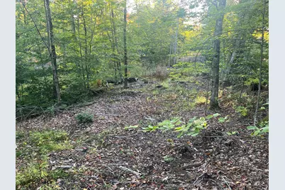 0 Flagg Mill Road, Naples, ME 04055 - Photo 4