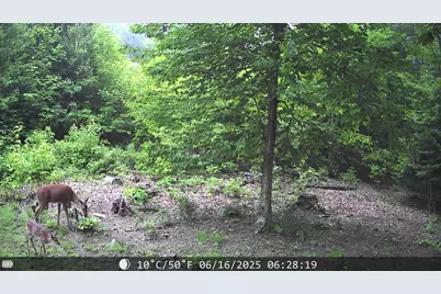 928 Main Street, Wayne, ME 04284 - Photo 62