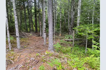 M223, L16-4, Poplar Lane, Hancock, ME 04640 - Photo 8
