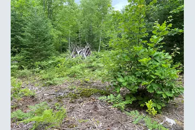 M223, L16-4, Poplar Lane, Hancock, ME 04640 - Photo 6