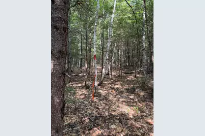 Tbd Field View Road, Fryeburg, ME 04037 - Photo 10