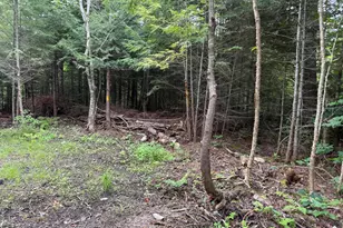 1159 Woodville Rd, Woodville, ME 04457 - Photo 30