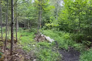 1159 Woodville Rd, Woodville, ME 04457 - Photo 36