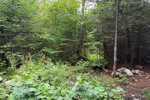 1159 Woodville Rd, Woodville, ME 04457 - Photo 34