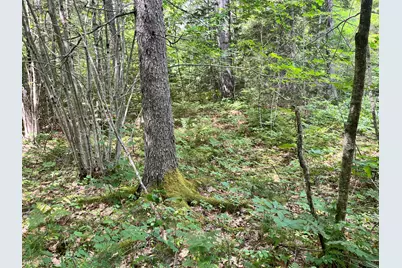 Lot 5 Will Butler Lane, Bremen, ME 04551 - Photo 12