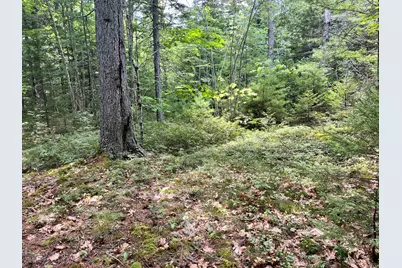 Lot 5 Will Butler Lane, Bremen, ME 04551 - Photo 10