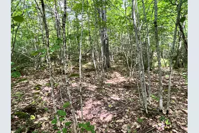 Lot 5 Will Butler Lane, Bremen, ME 04551 - Photo 6