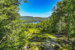 0 Old Whitney Rd, Harrison, ME 04040 - Photo 1