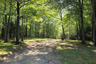 356 Wiley Rd, Norway, ME 04268 - Photo 6