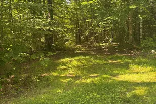 1 Tuttle Corner Rd, Freeman Twp, ME 04983 - Photo 16