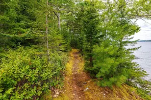 149 Higgins Farm Rd, Bar Harbor, ME 04609 - Photo 36
