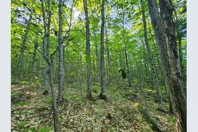 Po-L5,6,9G Great Moose Drive, Hartland, ME 04493 - Photo 6