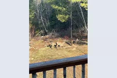 59 Moose Hill Road, Norway, ME 04268 - Photo 52