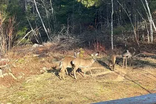 59 Moose Hill Rd, Norway, ME 04268 - Photo 52