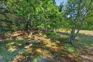 437 Dunbar Rd, Penobscot, ME 04476 - Photo 18