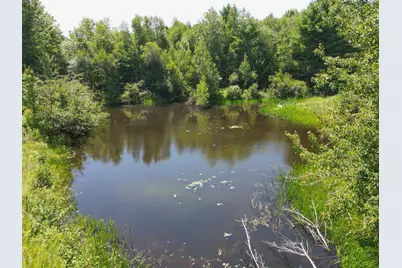 56 Sanborn Road, Newfield, ME 04095 - Photo 20