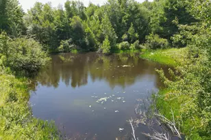 56 Sanborn Rd, Newfield, ME 04095 - Photo 20
