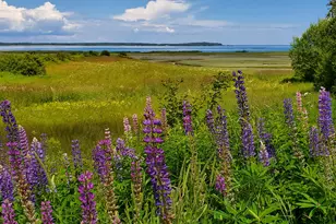 476 S Lubec Rd, Lubec, ME 04652 - Photo 26