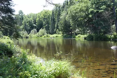 44 Dore Hill Road, Athens, ME 04912 - Photo 6