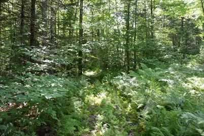 44 Dore Hill Road, Athens, ME 04912 - Photo 20