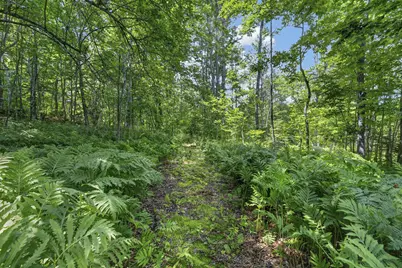 499 Howe Hill Road, Greenwood, ME 04255 - Photo 48