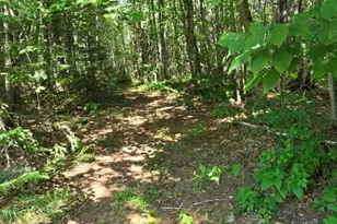 78 Sunset Blvd, Turner, ME 04282 - Photo 60