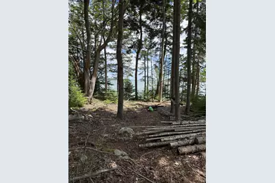 28 Tucker Way, Brooklin, ME 04616 - Photo 14