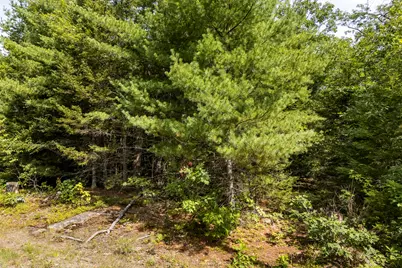 Lot040-E-4 Christian Hill Road, Bristol, ME 04539 - Photo 4
